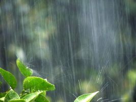「水害」が多発・激甚化！自然災害リスクで不動産の価値が下がる？